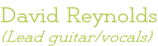David Reynolds (Lead guitar/vocals)